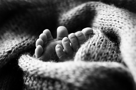 新生儿腿的照片 婴儿脚覆盖着孤立的羊毛背景 新生儿的小脚在柔和的选择性焦点中 脚底的黑白图像柔软度育儿皮肤后代身体母性生活孩子压图片