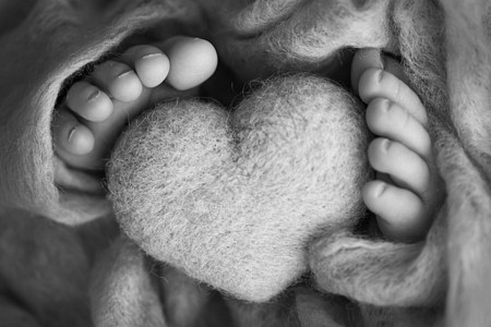 新生儿腿的照片 婴儿脚覆盖着孤立的羊毛背景 新生儿的小脚在柔和的选择性焦点中 脚底的黑白图像母性身体按摩母亲毯子压痛家庭新生幸福图片