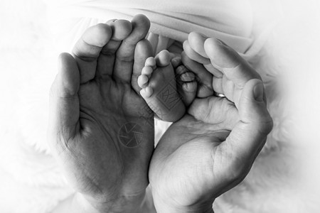 新生儿脚在父亲 父母的手中 工作室摄影 黑白相片 幸福的家庭概念童年赤脚投标妈妈护理孩子们产妇压痛皮肤新生背景图片