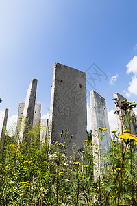 实地混凝土板钢筋建筑学工程农村材料酒吧楼板混凝土木板日志图片