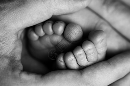 孩子们的脚在白色的母亲和父亲的手上 母亲 父亲和刚出生的孩子 快乐家庭人的概念 黑与白新生家庭童年赤脚父母妈妈压痛皮肤手指婴儿图片