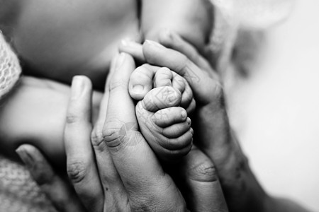 孩子们的脚在白色的母亲和父亲的手上 母亲 父亲和刚出生的孩子 快乐家庭人的概念 黑与白赤脚母性婴儿童年压痛皮肤新生手指妈妈父母图片