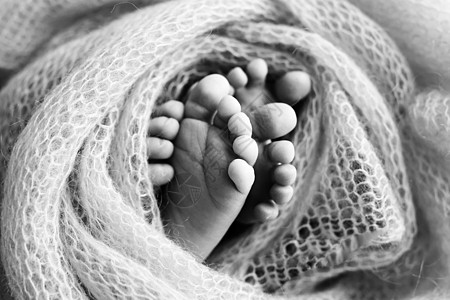 新生儿腿的照片 婴儿脚覆盖着孤立的羊毛背景 新生儿的小脚在柔和的选择性焦点中 脚底的黑白图像新生柔软度毯子童年压痛脚趾生活育儿母图片