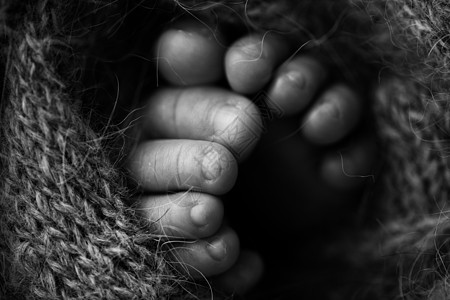 新生儿腿的照片 婴儿脚覆盖着孤立的羊毛背景 新生儿的小脚在柔和的选择性焦点中 脚底的黑白图像育儿后代生活皮肤柔软度新生脚趾手指赤图片