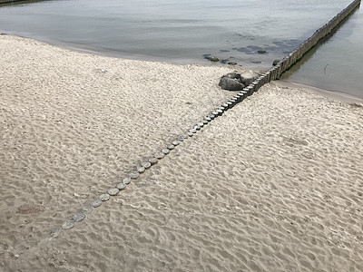 在波罗的海海岸的木制防波堤上突破波浪海洋风景风暴反射防御力量材料环境海岸线木质图片