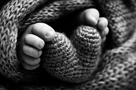 新生儿腿的照片 婴儿脚覆盖着孤立的羊毛背景 新生儿的小脚在柔和的选择性焦点中 脚底的黑白图像柔软度身体脚趾孩子压痛赤脚脚步手指母图片