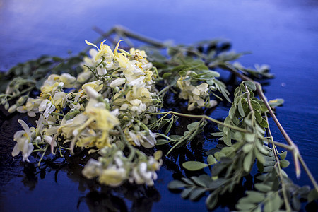 香草药 鼓棒花 还有木质表面的叶子专注药品季节草本植物辣木食物营养油菜酊剂植物图片