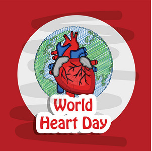 世界心脏日背景营养横幅国家科学医院诊断预防心血管脉冲按钮图片