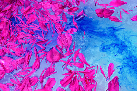 粉红色的花瓣漂浮在蓝色的水面上图片