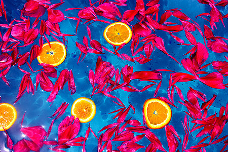 漂浮在蓝色wate的红色花瓣和橙色切片图片