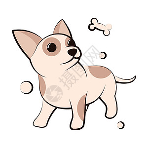 吉娃娃小狗的可爱卡通矢量插图图标 它是平面设计卡通片标识犬类吉祥物乐趣孩子哺乳动物宠物漫画野生动物图片