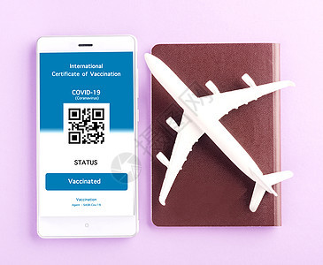 机型飞机 护照和豁免出入证安排在智能手机上应用飞机场安全假期文档认证旅游技术卡片疫苗感染图片