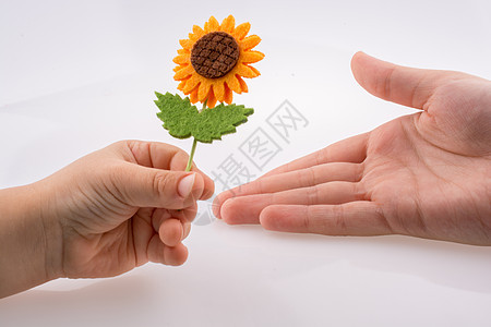 婴儿在白色背景上赠送假花礼物绿色展示场地植物花朵背景图片