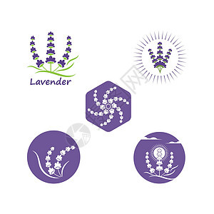 薰衣草花矢量图设计草本植物香水花园紫色标签花束芳香花标香气叶子图片