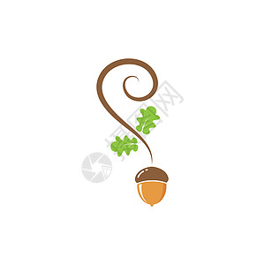 橡树橡子矢量图设计棕色森林植物食物木头叶子橡木环境植物学插图图片