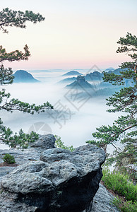 唤醒了迷雾的沙石山和乳润云层的变异阴霾地平线深谷爬坡山峰天空湿度森林积木顶峰图片