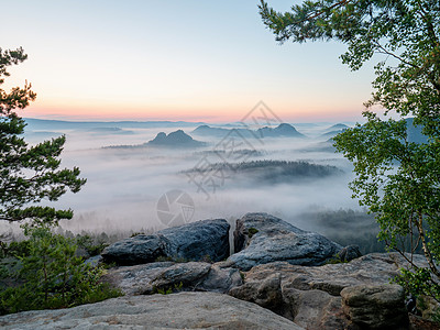 美丽的清晨风景 萨克森 瑞士 沙石山峰和山丘全景石头砂岩薄雾公园山脉国家天空顶峰太阳图片