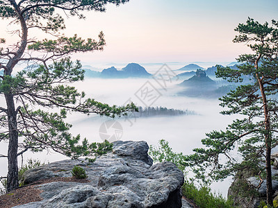 美丽的清晨风景 萨克森 瑞士 沙石山峰和山丘反转爬坡日出太阳湿度农村林地全景外表薄雾图片