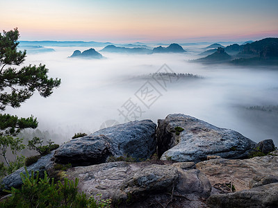 萨克森瑞士的美好景象 克莱纳温特伯格的美景 美丽的早晨薄雾峡谷砂岩森林公园爬坡松树国家日出山脉图片