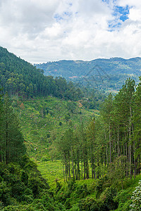 美丽的自然景观 绿色山丘山谷a图片