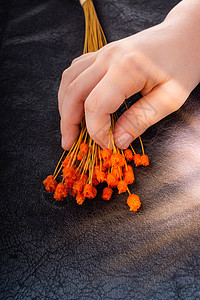 手握一连串干橙色花朵香气蓝色植物群背景薰衣草草本植物黑色紫色植物草本图片