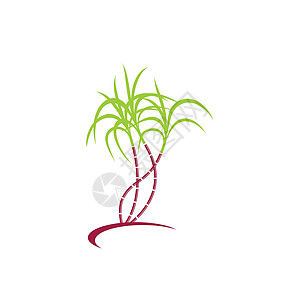 甘蔗标志和符号矢量图像场地食物种植园颗粒状植物棕榈贴纸生长标签热带图片