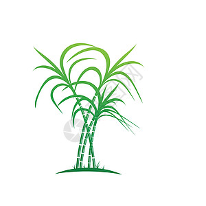 甘蔗标志和符号矢量图像果汁植物蔬菜生物热带种植园食物标识叶子环境图片