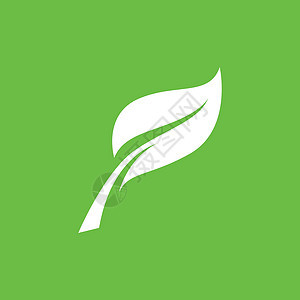 叶标志绿色自然 vecto生物插图生态公司生活植物商业标识艺术环境图片