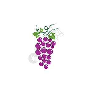 葡萄矢量图标插图设计水果食物配种网站紫色浆果植物葡萄园农场红色图片