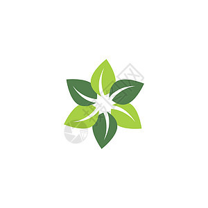 绿叶花卉生态自然元素符号日志艺术标识生物回收环境生活橡木叶子植物商业图片