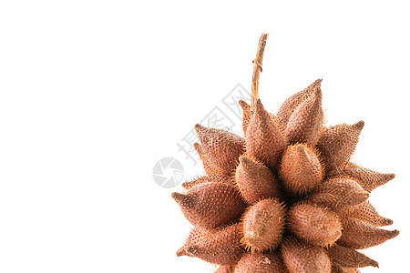 新鲜扎勒卡甜点白色水果异国情调棕色美食热带食物种子图片