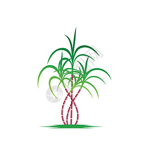 甘蔗标志和符号矢量图像食物棕榈果汁横幅场地生长贴纸植物学植物环境图片