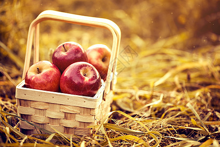 红秋背景下的 Wooden 篮子中新鲜的美味红苹果饮食植物蔬菜水果果园农业季节食物园艺农村图片