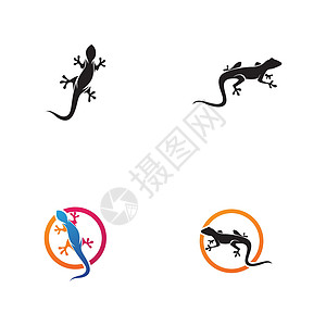 蜥蜴符号图标 vecto兔子标识卡通片变色龙尾巴乌龟壁虎宠物爬虫情调图片