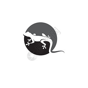 蜥蜴符号图标 vecto动物园野生动物宠物鬣蜥网络乌龟收藏兔子壁虎变色龙图片