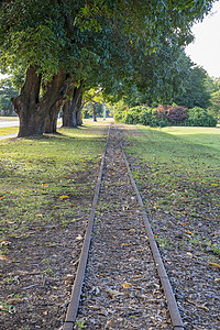旧铁路轨道旁树图片