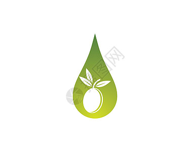 橄榄油徽标矢量图标它制作图案标签农业处女农场标识收成植物食物叶子生态图片