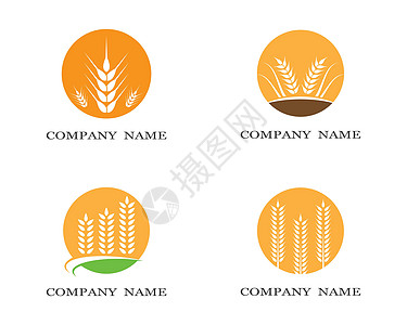 小麦符号矢量图标它制作图案农场粮食插图市场生长种子收成植物面包产品图片