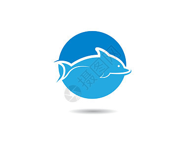 海豚矢量图标插画设计游泳荒野海洋生活夫妻蓝色冲浪哺乳动物天空热带图片