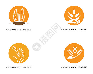 小麦符号矢量图标它制作图案横幅标签生长农业粮食玉米种子农场麸质食物图片