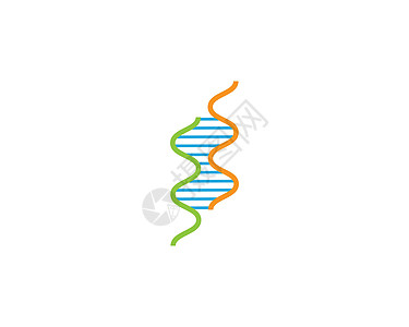 基因符号向量 ico身份公司科学遗传标识化学生活插图白色染色体图片