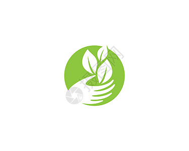 生态矢量 ico灯泡热带生长生活力量商业活力插图植物环境图片