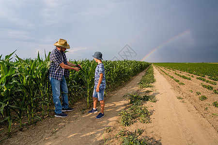 农业青少年商业儿子农学家农场男生生长农田帽子播种图片