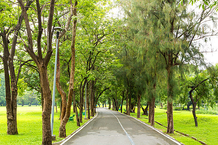 公园路草地导航曲线植物天气公园花园环境绿色人行道图片