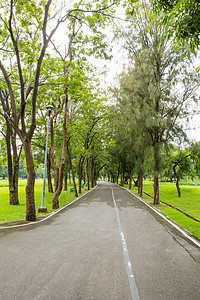 公园路草地环境地面绿色迷宫植物公园途径导航人行道图片