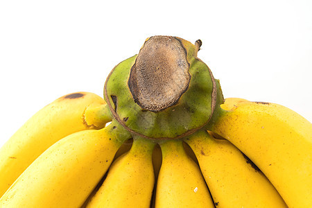 香蕉热带饮食水果小吃宏观皮肤营养食物剪裁小路图片