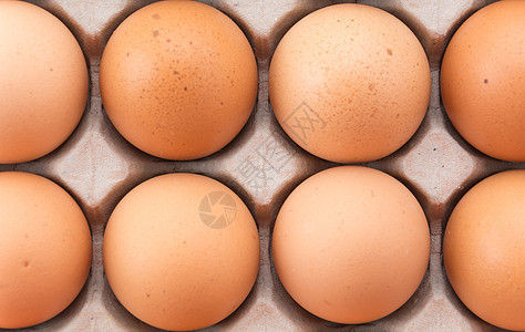 鸡蛋黄色母鸡农场食物营养早餐白色农业纸盒棕色图片