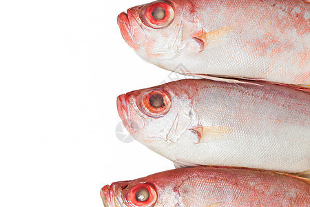 红大眼鱼营养烹饪钓鱼棘刺眼睛厨房食物市场饮食海鲜图片