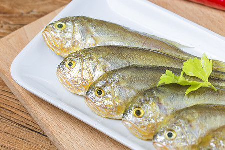 黄鳄鱼动物美味海鲜工作室美食游泳海洋生物饮食营养图片