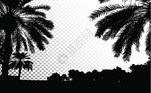 棕榈树矢量剪影 椰子树与椰子矢量 海滩矢量树 每股收益 1情调叶子植物收藏数字日落热带地平线异国丛林图片